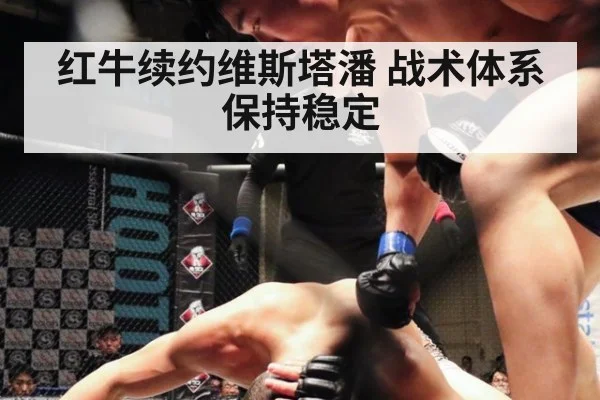 红牛续约维斯塔潘 战术体系保持稳定